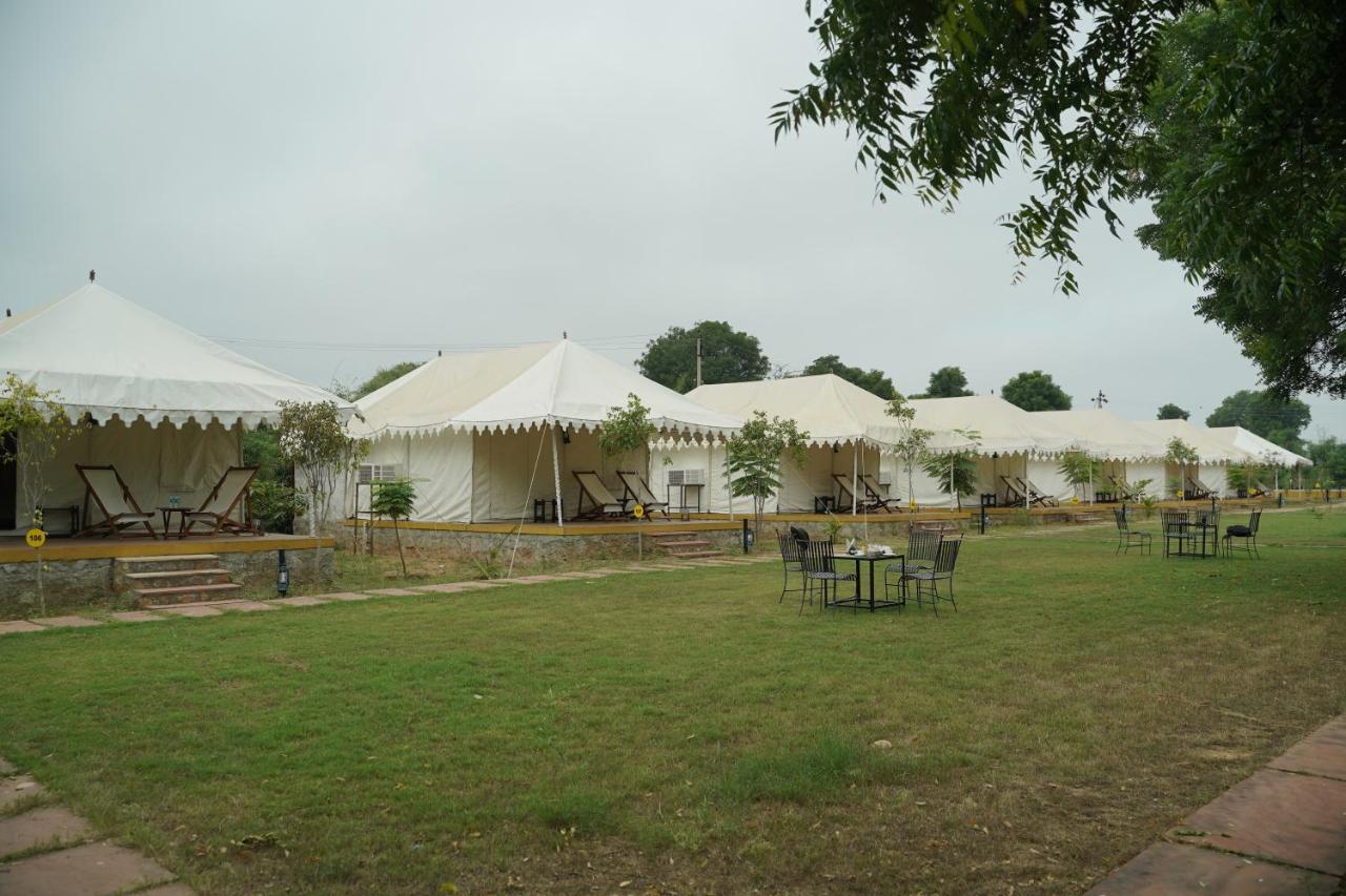 Ranthambhore Bagh Dwar Camp Khilchipur  Luaran gambar